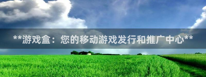 蓝狮技术有限公司官网：**游戏盒：您的移动游戏发行和推广中心**