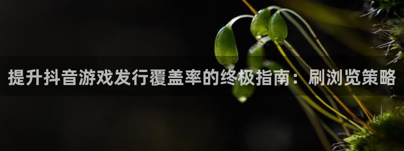 蓝狮在线注册平台登录：提升抖音游戏发行覆盖率的终极指南：刷浏览策略