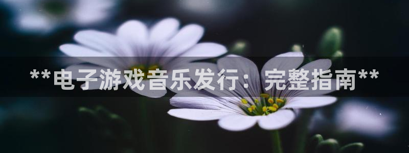 蓝狮在线注册登录不了：**电子游戏音乐发行：完整指南**
