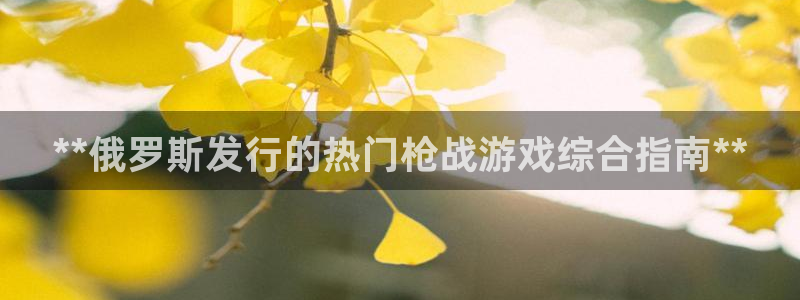 蓝狮在线注册方法视频：**俄罗斯发行的热门枪战游戏综合指南**