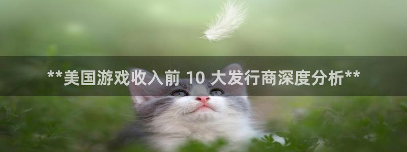 蓝狮在线注册登录失败：**美国游戏收入前 10 大发行商深度分析**