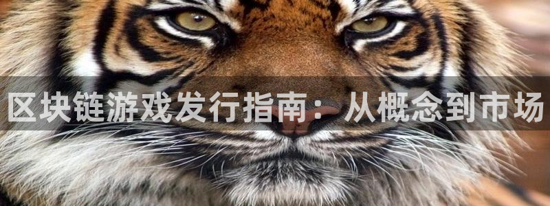 佛山蓝狮：区块链游戏发行指南：从概念到市场