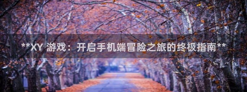 蓝狮在线代理注册：**XY 游戏：开启手机端冒险之旅的终极指南**