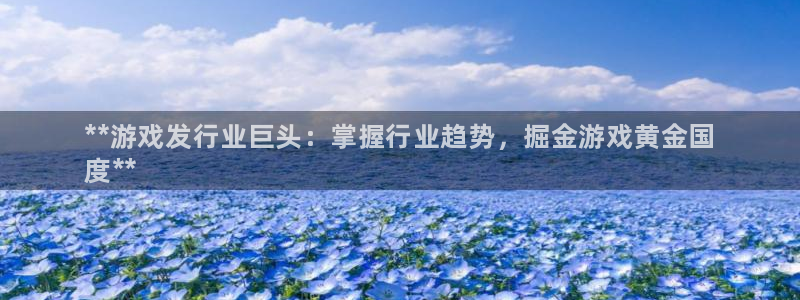 蓝狮集团品牌策划机构：**游戏发行业巨头：掌握行业趋势，掘金游戏黄金国
度**