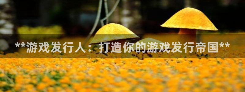 蓝狮子怎么样：**游戏发行人：打造你的游戏发行帝国**