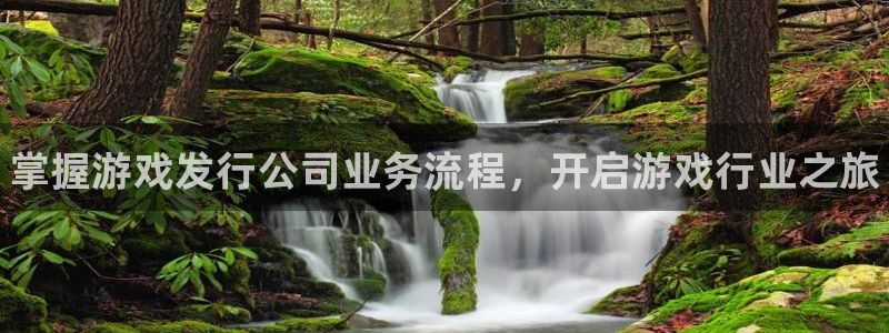 蓝狮集团董事长刘一辰简历