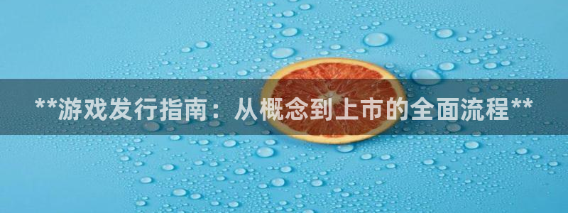 蓝狮在线注册登录：**游戏发行指南：从概念到上市的全面流程**