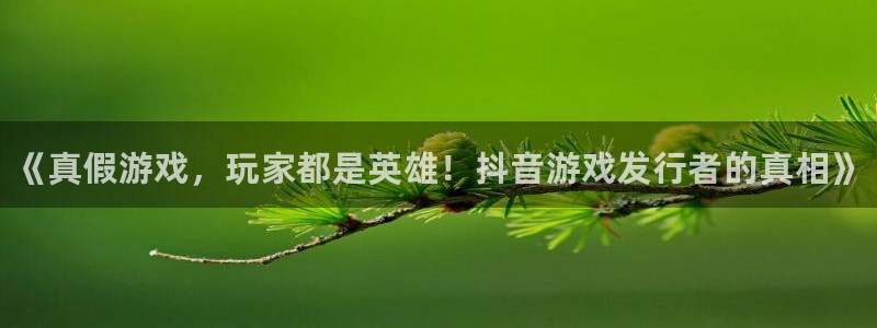 东莞蓝狮信息科技有限公司：《真假游戏，玩家都是英雄！抖音游戏发行者的真相》