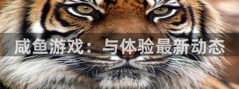 蓝狮在线注册地址：咸鱼游戏：与体验最新动态