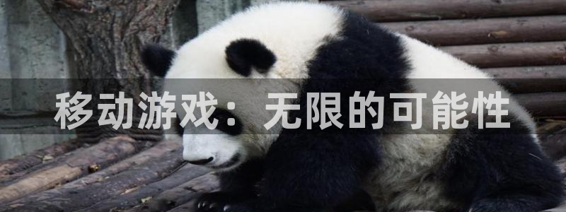 蓝狮装饰：移动游戏：无限的可能性