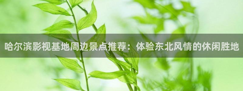 我不卡电影神马：哈尔滨影视基地周边景点推荐：体验东北风情的休闲胜地
