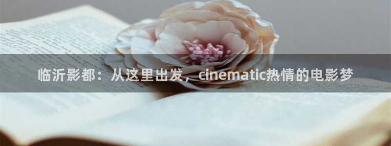 我不卡电影电视剧：临沂影都：从这里出发，cinematic热情的电影梦