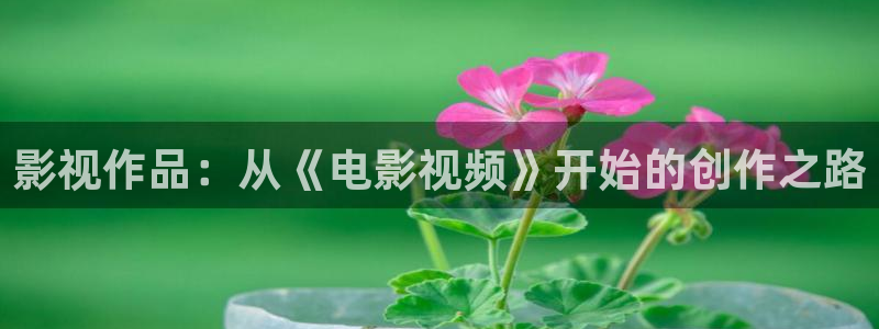 我不卡电影免费：影视作品：从《电影视频》开始的创作之路