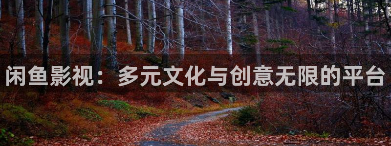 我不卡电影在线看：闲鱼影视：多元文化与创意无限的平台