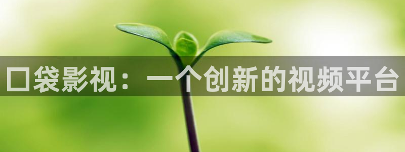 神马我不卡电影国语版：囗袋影视：一个创新的视频平台
