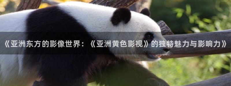 我不卡电影影院：《亚洲东方的影像世界：《亚洲黄色影视》的独特魅力与影响力》