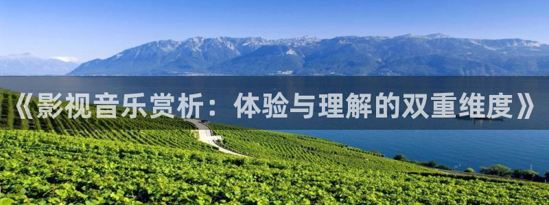 神马影院我不卡电影院：《影视音乐赏析：体验与理解的双重维度》