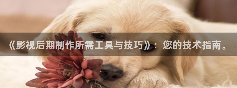 我不卡电影手机在线观看：《影视后期制作所需工具与技巧》：您的技术指南。